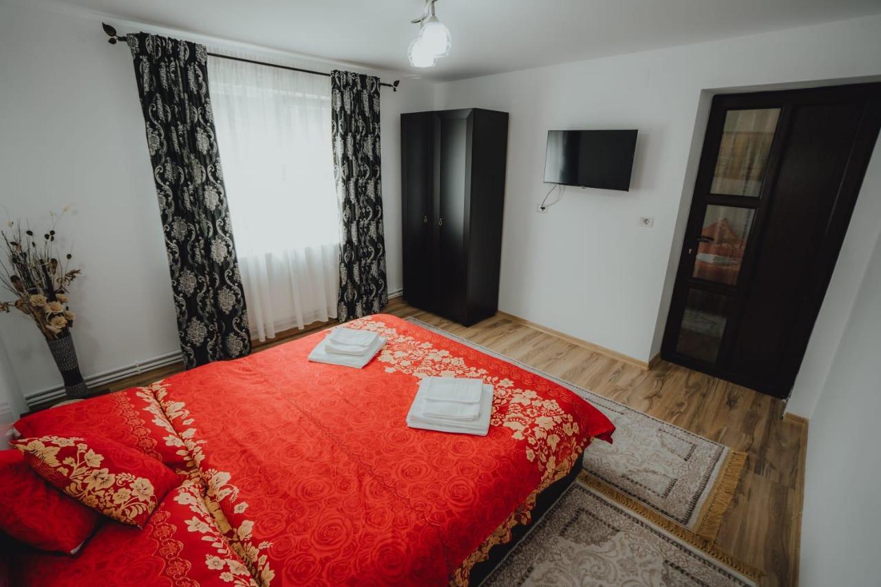 Casa Andreea Si Grigore Ursu Borsa  Kültér fotó
