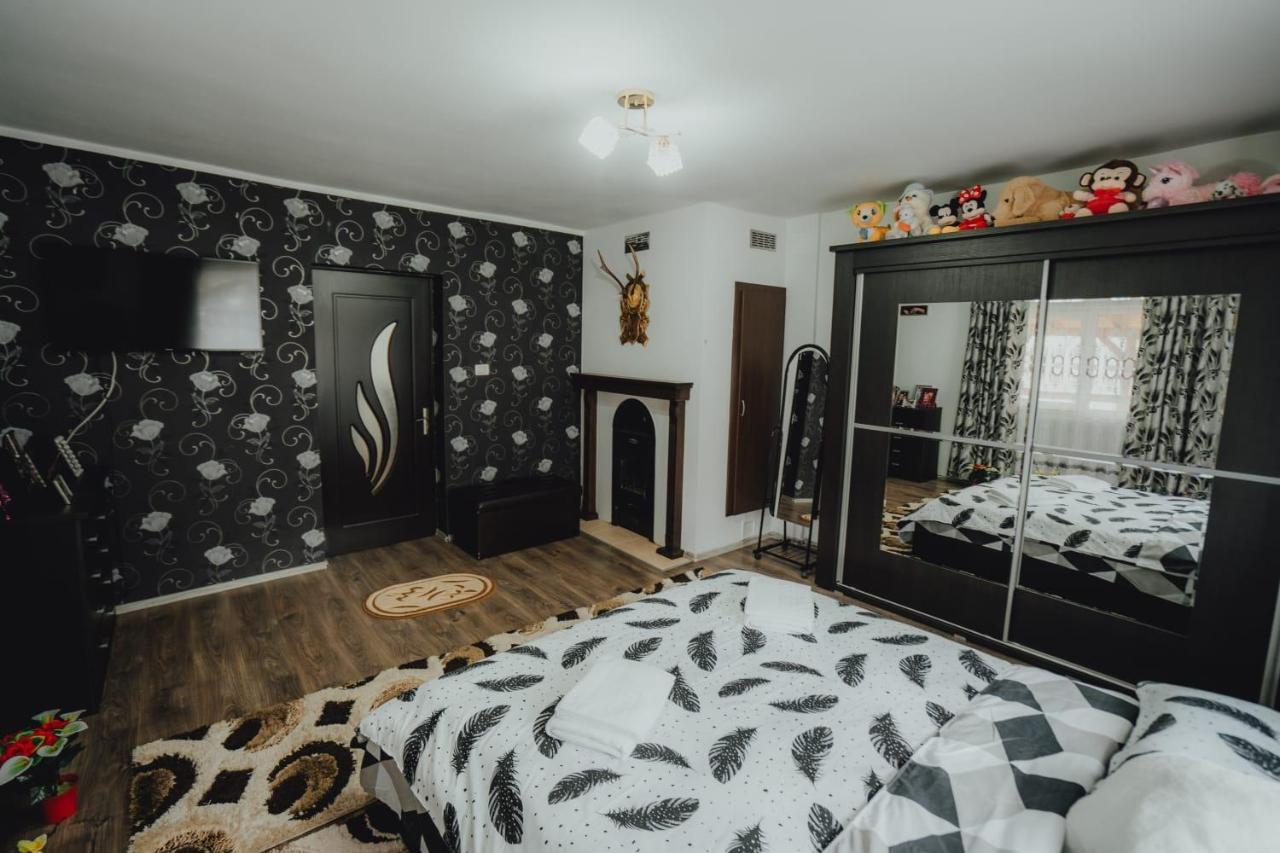 Casa Andreea Si Grigore Ursu Borsa  Kültér fotó