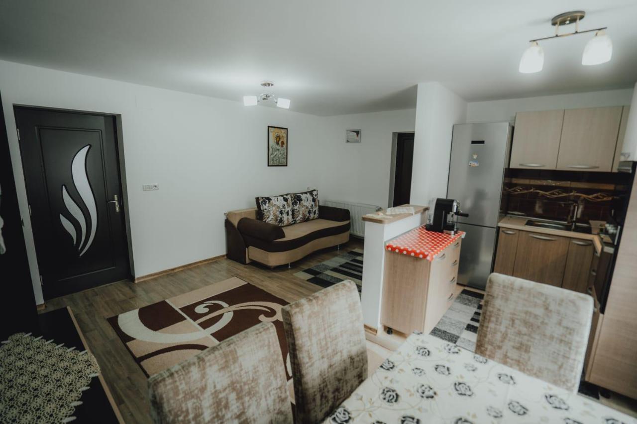 Casa Andreea Si Grigore Ursu Borsa  Kültér fotó