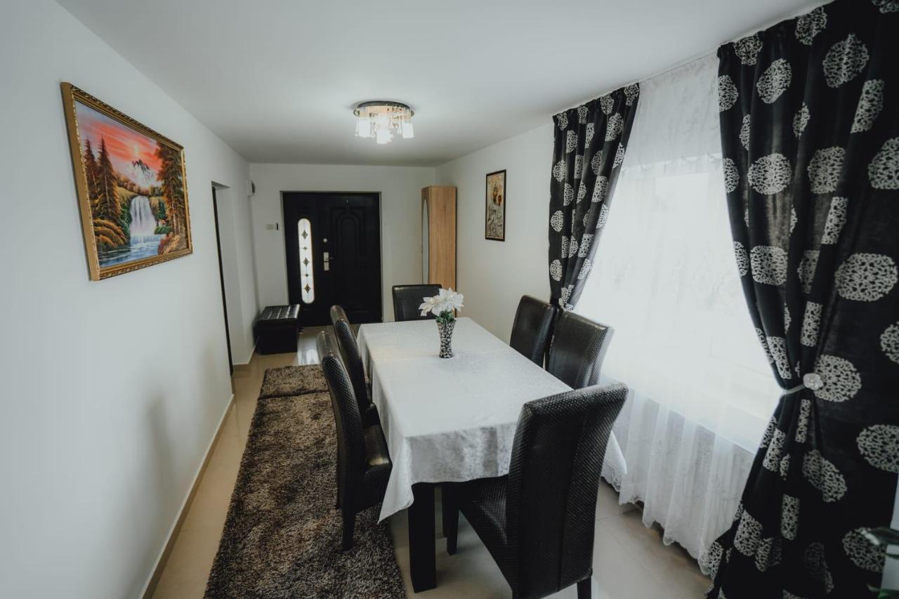 Casa Andreea Si Grigore Ursu Borsa  Kültér fotó