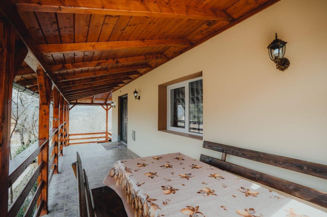 Casa Andreea Si Grigore Ursu Borsa  Kültér fotó