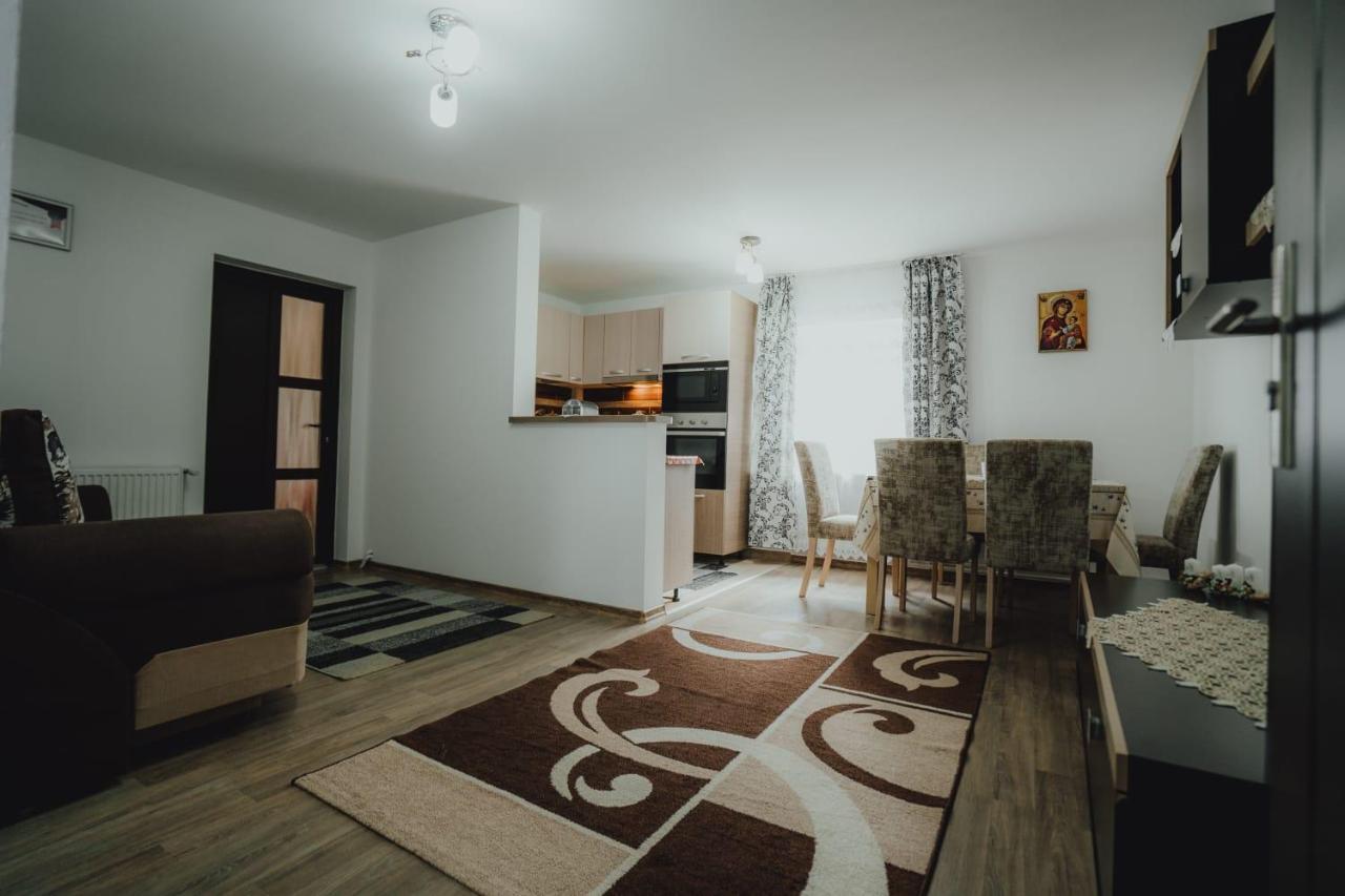 Casa Andreea Si Grigore Ursu Borsa  Kültér fotó
