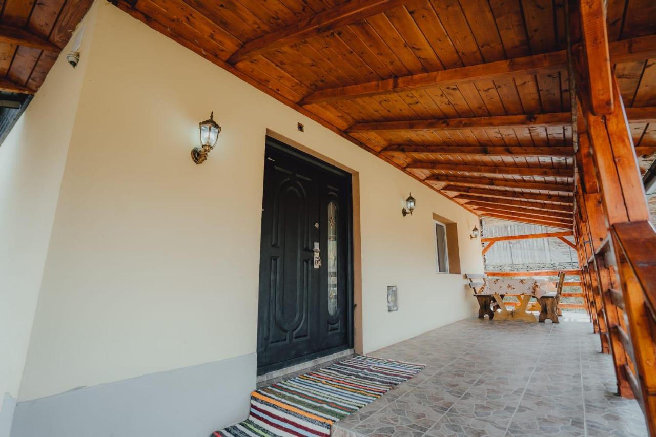 Casa Andreea Si Grigore Ursu Borsa  Kültér fotó