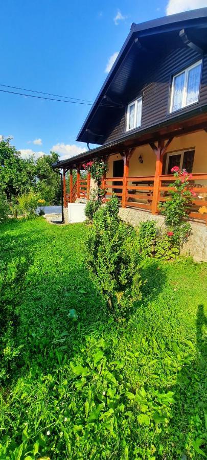 Casa Andreea Si Grigore Ursu Borsa  Kültér fotó