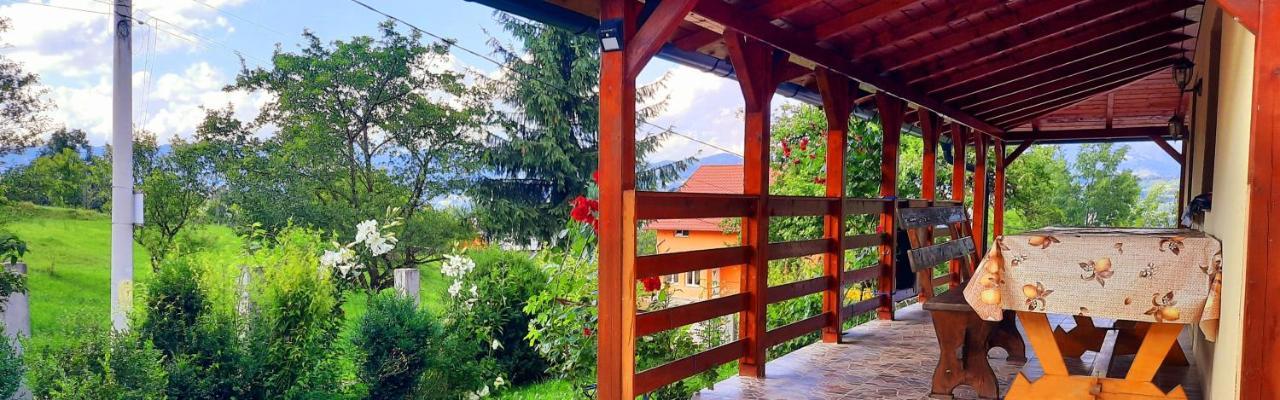 Casa Andreea Si Grigore Ursu Borsa  Kültér fotó